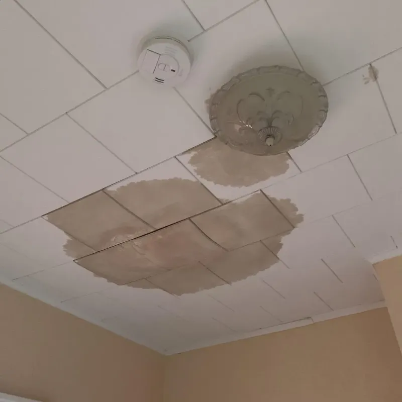 Ceiling Water Damage Repair in Minerva, OH